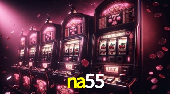 Experiência VIP na55
